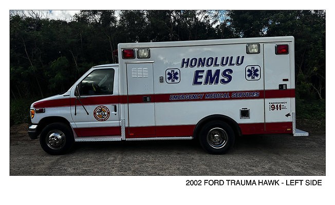B. 2002 FORD TRAUMA HAWK - LEFT SIDE