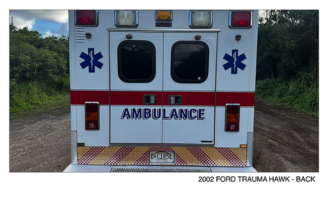 C. 2002 FORD TRAUMA HAWK - BACK